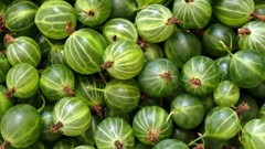 Macro gooseberry