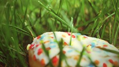 Macro grass donuts sprinkles