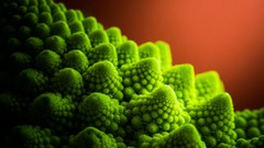 Macro Green vegetables natural broccoli Romanesco Broccoli