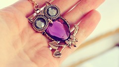 Macro hands Jewelry Owls