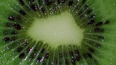 Macro kiwi fruits