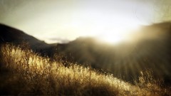 Macro Landscapes nature