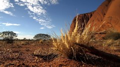 Macro Landscapes nature ground deserts