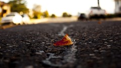 Macro leaves roads streets fallen leaves