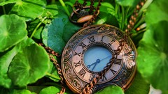 Macro leaves time pocket watch
