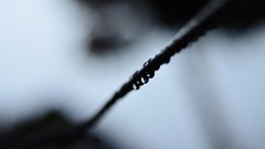 Macro light monochrome water drops