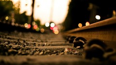 Macro lights close-up bokeh railway railroad tracks depth of 