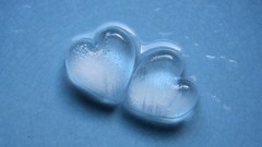 Macro love ice Hearts blue background