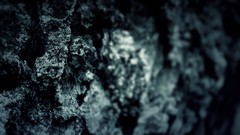 Macro monochrome depth of field