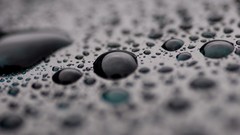 Macro monochrome water drops