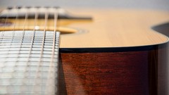 Macro Music instruments guitars