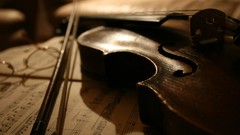 Macro Music violins