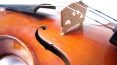 Macro Music violins