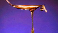 Macro nature Animals bees honey