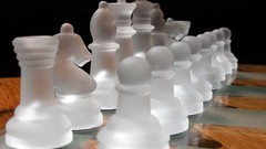 Macro nature checkers checkerboard