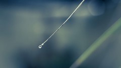 Macro nature grass drops close-up bokeh