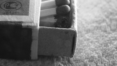 Macro nature grayscale matchsticks