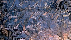 Macro nature ice frost