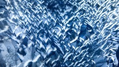 Macro nature ice frost