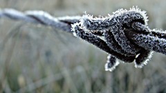 Macro nature ice wire frost barbed wire fences depth of field