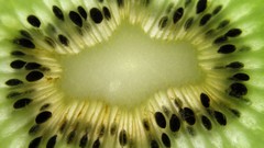 Macro nature kiwi