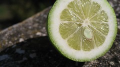 Macro nature lemons limes