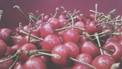 Macro nature pink purple Plants cherries fruits