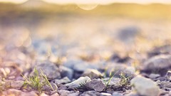 Macro nature rocks depth of field