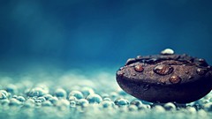 Macro nature seeds water drops