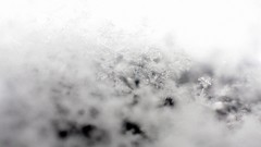 Macro nature TV shows