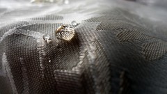 Macro nature water close-up