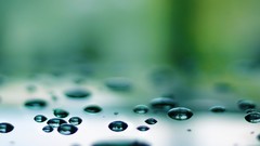 Macro nature water drops depth of field
