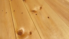 Macro nature Wood HDR Photography