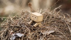 Macro nest danboard