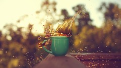 Macro Objects splashes cups depth of field