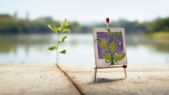 Macro oil close-up plates paintings canvas artistic