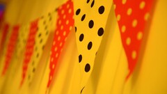 macro paper colorful