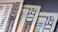 Macro paper Money twenty dollar bill