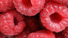 Macro raspberries