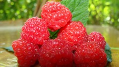 Macro raspberries