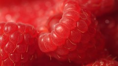 Macro red raspberries