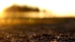 Macro rocks Beaches sunlight