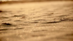 Macro sand depth of field