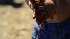 Macro sand hands baby young arena