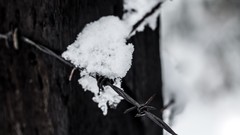 Macro snow