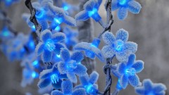 Macro snow blue lights Christmas plastic