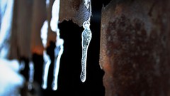 Macro snow love Nikon show