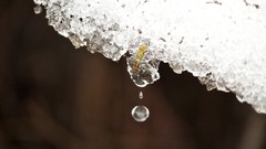 Macro snow white ice water drops melt