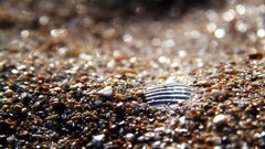 Macro stones nature sunlight HDR Photography depth of field