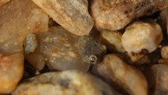 Macro stones water bubbles rocks